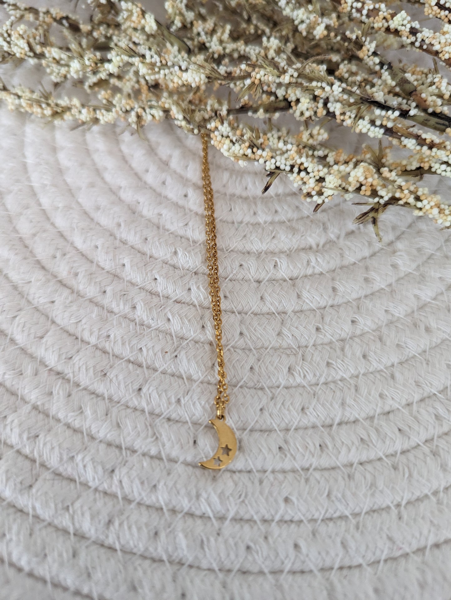 Collier acier inoxydable pendentif petite lune (CO-213)