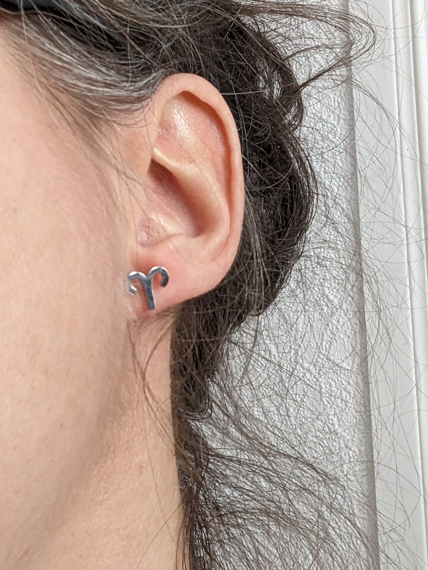 Boucles d'oreilles signe astrologique | zodiac earrings | stainless earrings