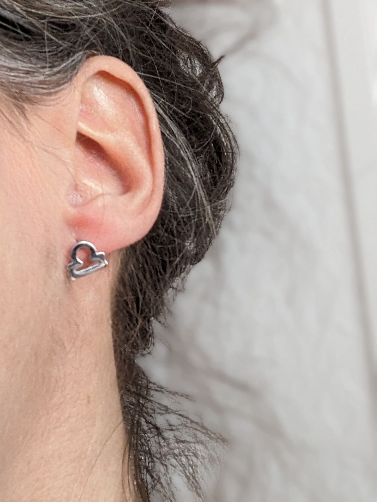 Boucles d'oreilles signe astrologique | zodiac earrings | stainless earrings