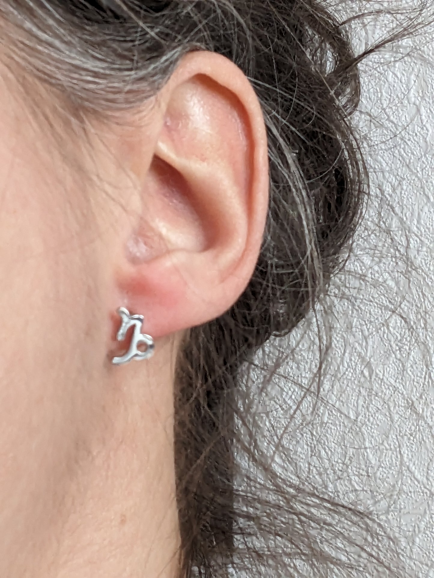 Boucles d'oreilles signe astrologique | zodiac earrings | stainless earrings