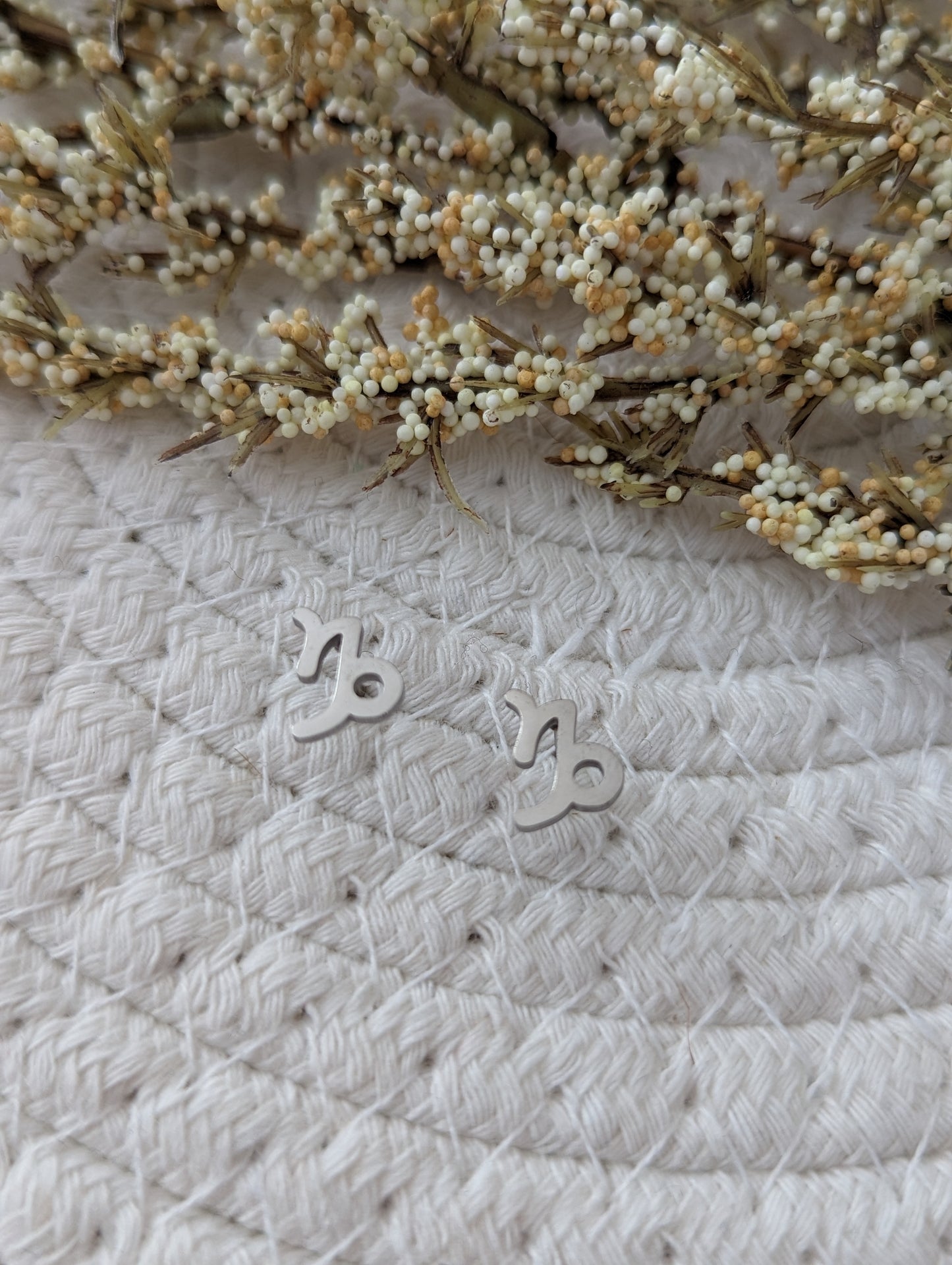 Boucles d'oreilles signe astrologique | zodiac earrings | stainless earrings