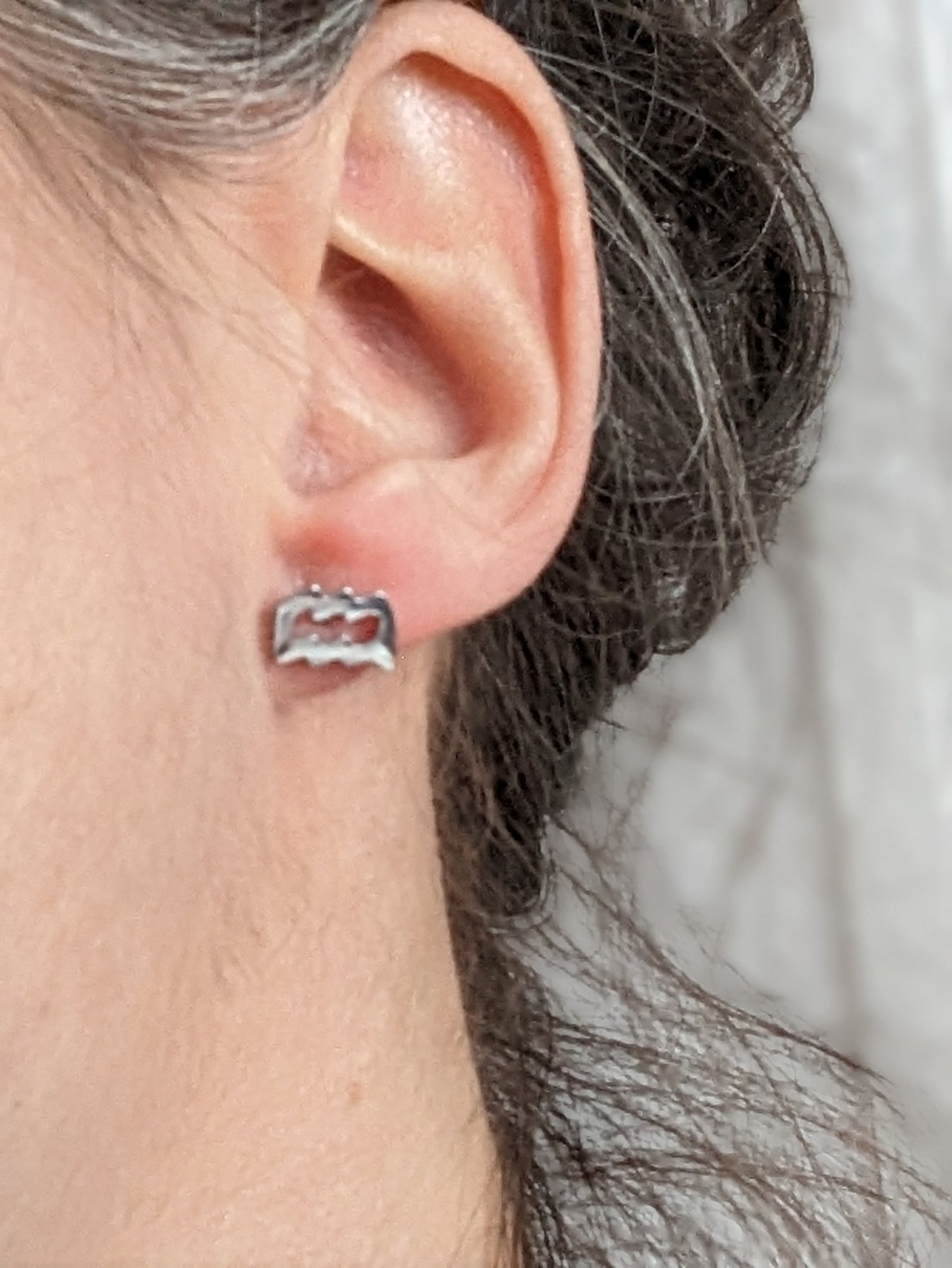 Boucles d'oreilles signe astrologique | zodiac earrings | stainless earrings