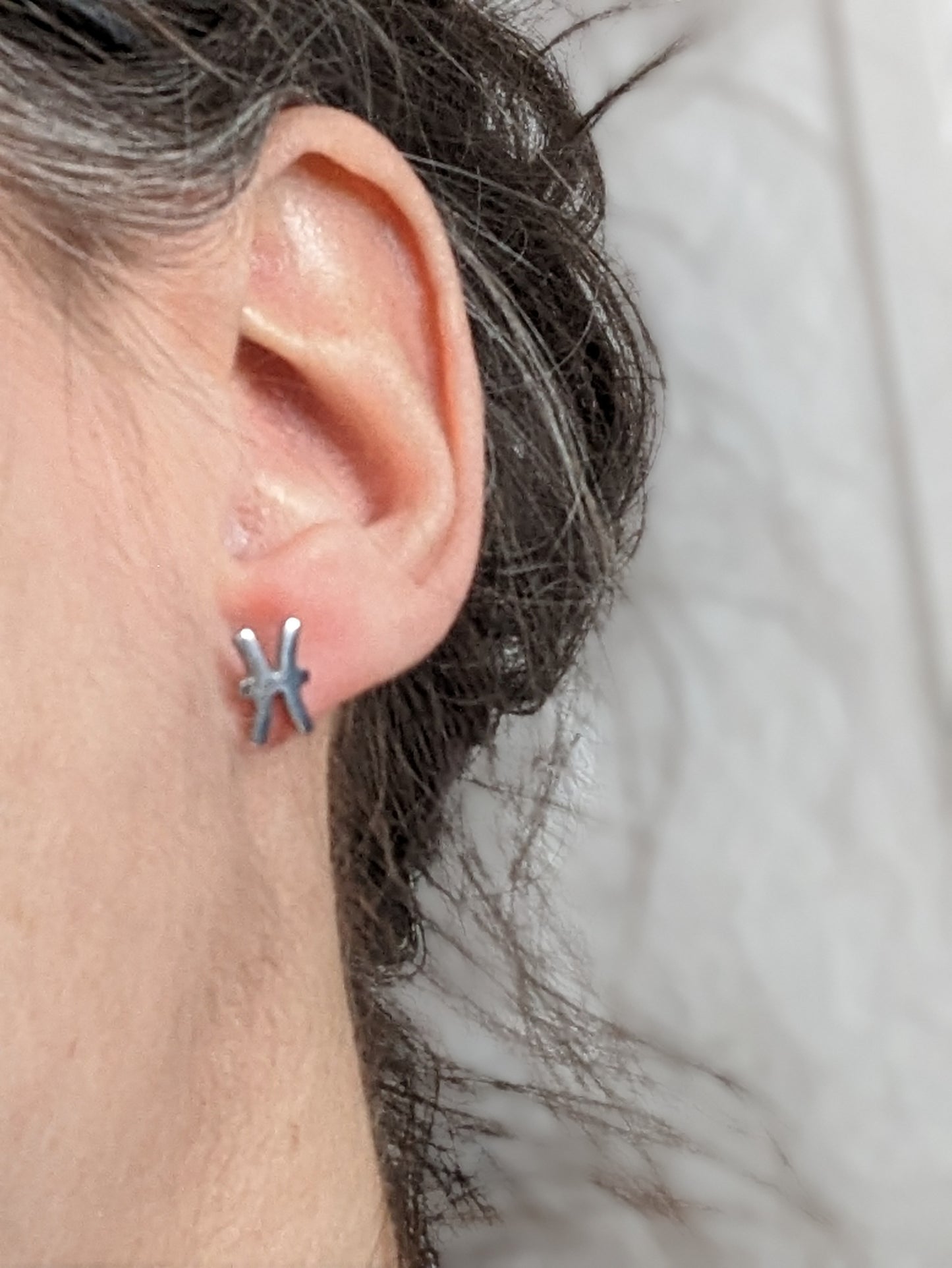 Boucles d'oreilles signe astrologique | zodiac earrings | stainless earrings