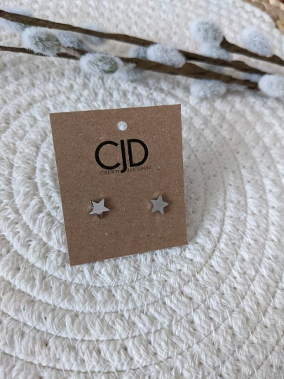 Boucles d'oreilles stud etoile // stainless star stud earrings // stainless steel earrings // minimalist jewelry (BO-1671)