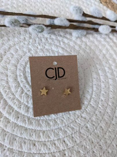 Boucles d'oreilles stud etoile // stainless star stud earrings // stainless steel earrings // minimalist jewelry (BO-1671)