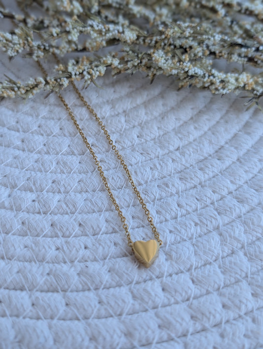 Collier en acier inoxydable pendentif coeur (CO-178)