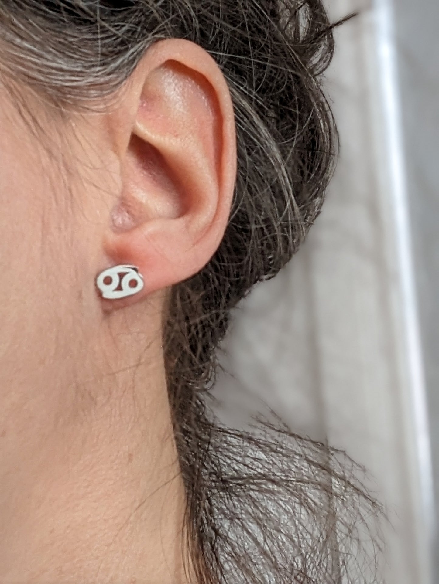 Boucles d'oreilles signe astrologique | zodiac earrings | stainless earrings